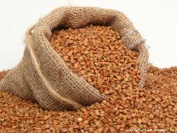 Крупа гречневая