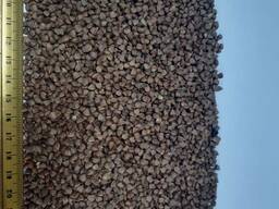 Крупа гречневая