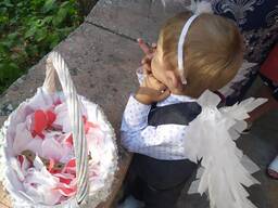 Крылья ангела