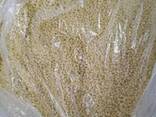 Ксантогенат калия бутиловый (sodium xantogenate bytil) - фото 2