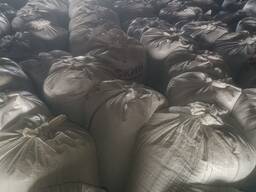 Кукуруза Фуражная