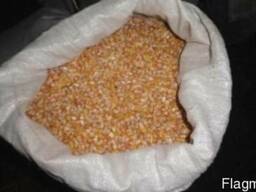 Кукуруза в мешках