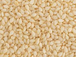 Кунжут белый, чистый 99,99% индийский оптом по 1160 тенге. Дешевле не найти!