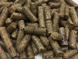 Купим жом сахарной свеклы гранулированный