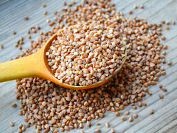 Купля гречку и гречихи