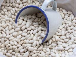 Куплю белую фасоль оптом