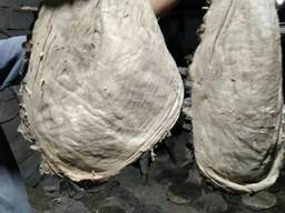 Куплю говяжую книжку