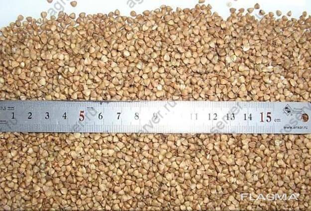 Куплю гречиху