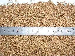 Куплю гречиху