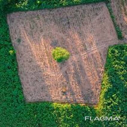 Куплю КХ с землей