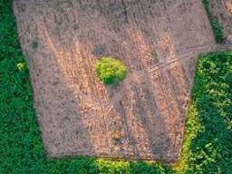 Куплю КХ с землей