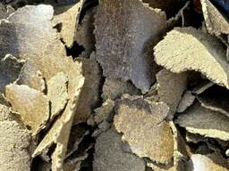 Куплю жмых РАПСА и ЛЬНА