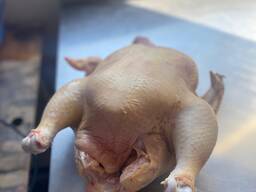 Куриное мясо бройлер