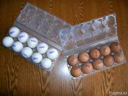 Яйца оптом от Птицефабрики. Категория первая