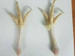 Лапы Куриные