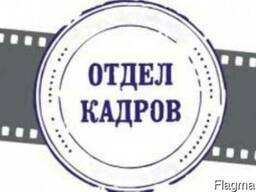 Курсы "1С Кадры Зарплата и управление персоналом"
