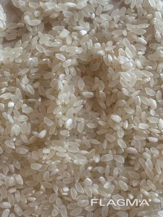 Кызылординский рис Лидер