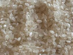 Кызылординский рис Лидер