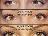 Ламинирование ресниц - фото 2
