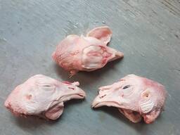 ГОЛОВЫ КУРИНЫЕ
