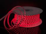 LED лента SMD 2835 Лента светодиодная 220 в. В ПВХ оболочке - фото 1