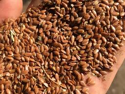 Лен, Flaxseeds, Linseeds