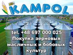 Лен куплю