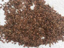 Лен оптом от Производителя.