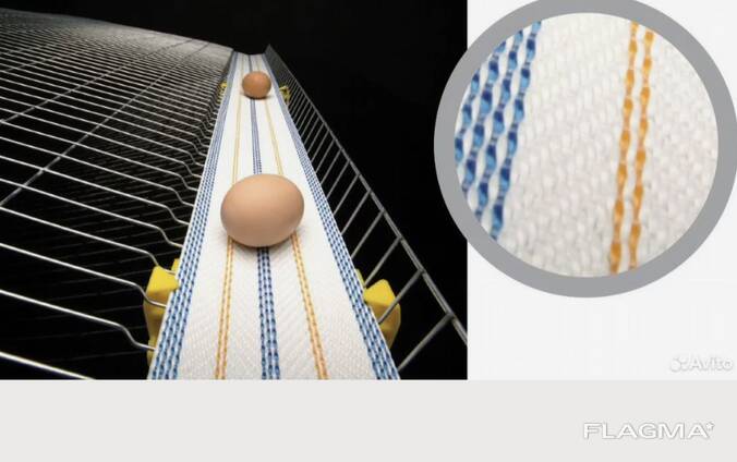 Лента яйцесбора ширина от 90 до 300мм.