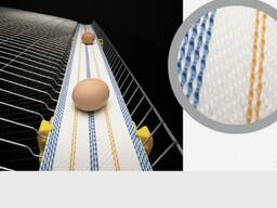 Лента яйцесбора ширина от 90 до 300мм.