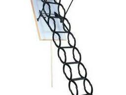 Лестница Ножничная Oman (70х 80 х 290