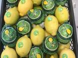 Лимон (Египет) - фото 2