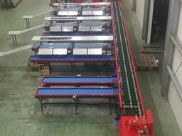 Линия для сортировки яблок