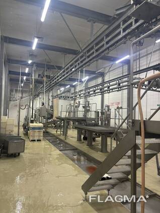 Продажа линия убоя КРС 120 голов в смену