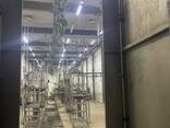 Продажа линия убоя КРС 120 голов в смену - фото 2