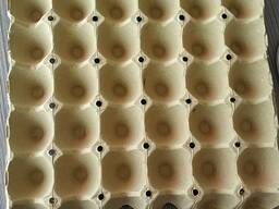 Лотки для яиц, яичные ячейки