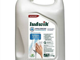 Ludwik для мытья посуды 5 л гипоалергенное