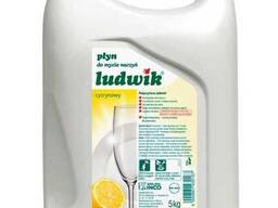 Ludwik для мытья посуды 5 л лимон