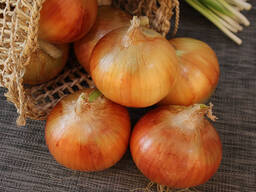 Лук