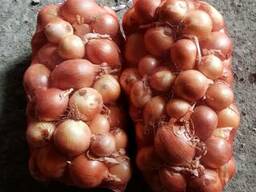 Лук, фасоль, зелень!