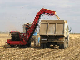 Луковый подборщик высокопроизводительный с сортировочным столом и погрузчиком для боковой