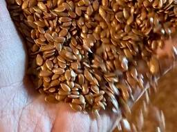 Куплю семена льна сафлора от кх. с места/элеватора