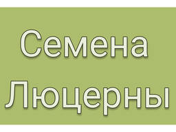 Люцерна