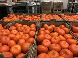 Мандарины Моркот