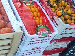 Мандарины оптом