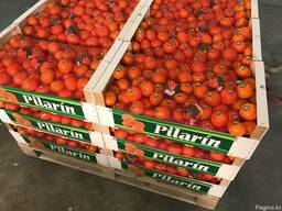 Мандарины купить. Прямые поставки из Испании.