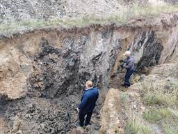 Марганец кені