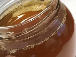 Масло сафлоровое нерафинированное фильтрованное от производителя СТ РК 1428-2005 1 сорта