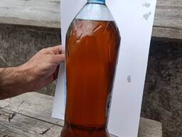 Масло подсолнечное кормовое