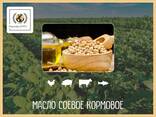 Масло соевое кормовое в Астане - фото 1
